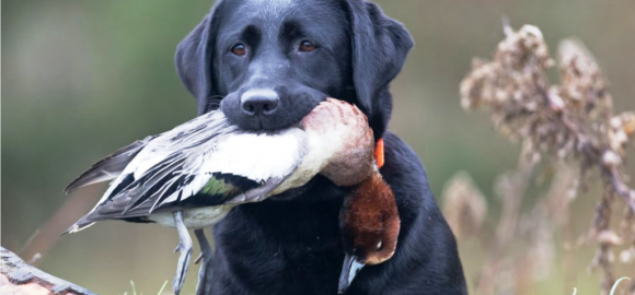 Screenshot_2015-07-19-18-27-07