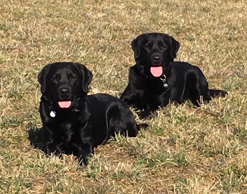 Lubber og Balder
