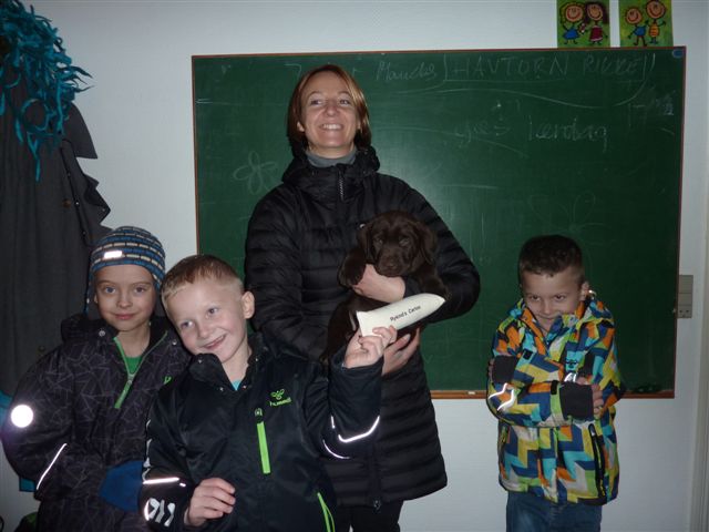 hvalpeafgang 054